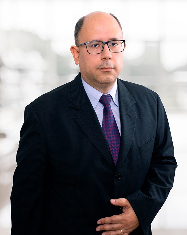 Article RICARDO CARNEIRO MENDES PRADO
